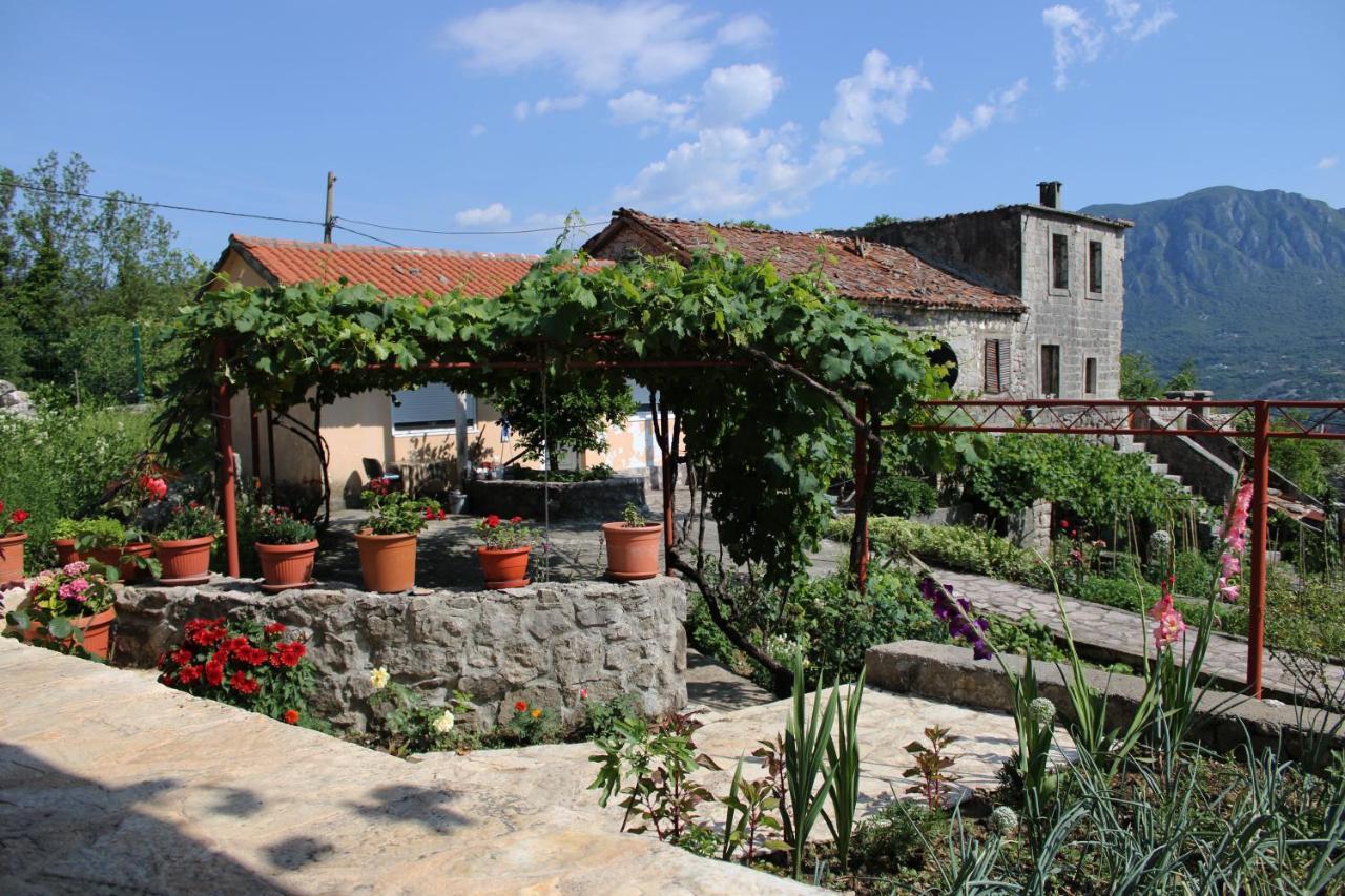 Gazevic Vakantiehuis *