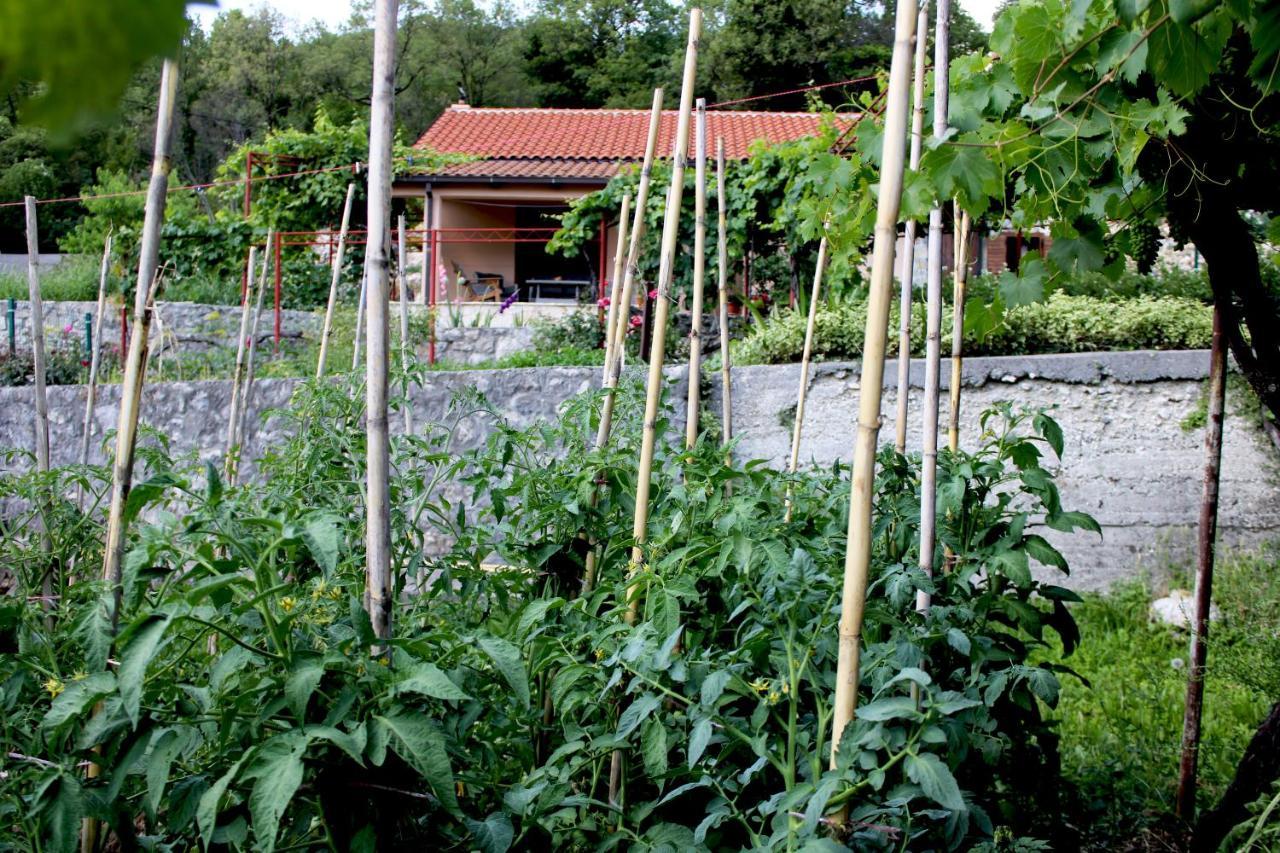 Vakantiehuis Gazevic Virpazar