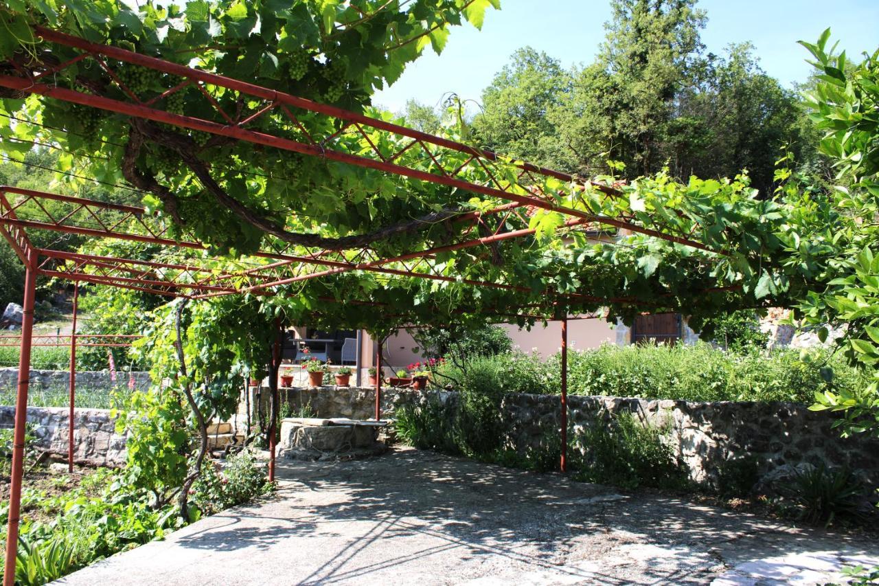 Gazevic Virpazar